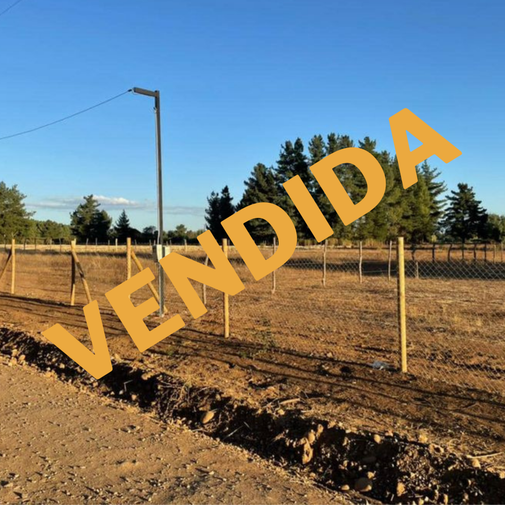 Se Vende Parcela 5.000 m2 camino a Yungay