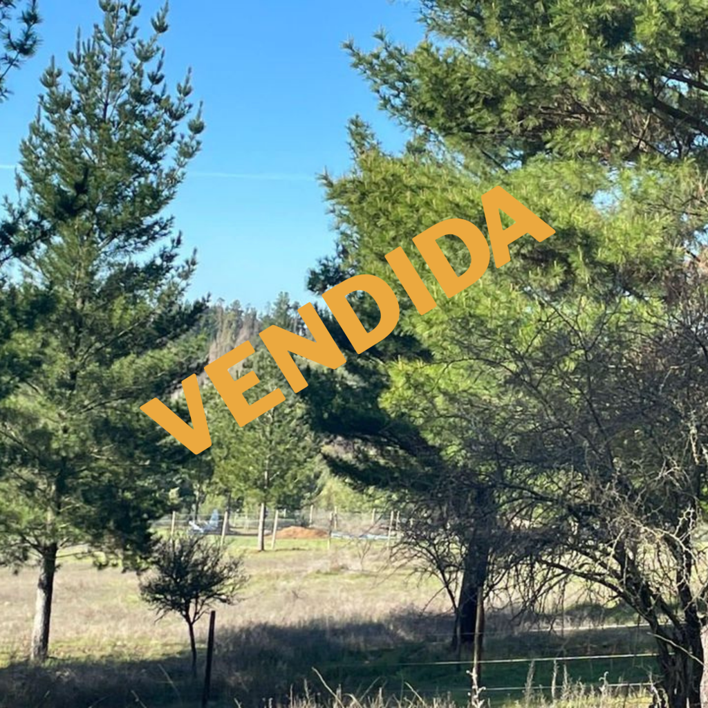 Se Vende Parcela 5253 m2 con Rol